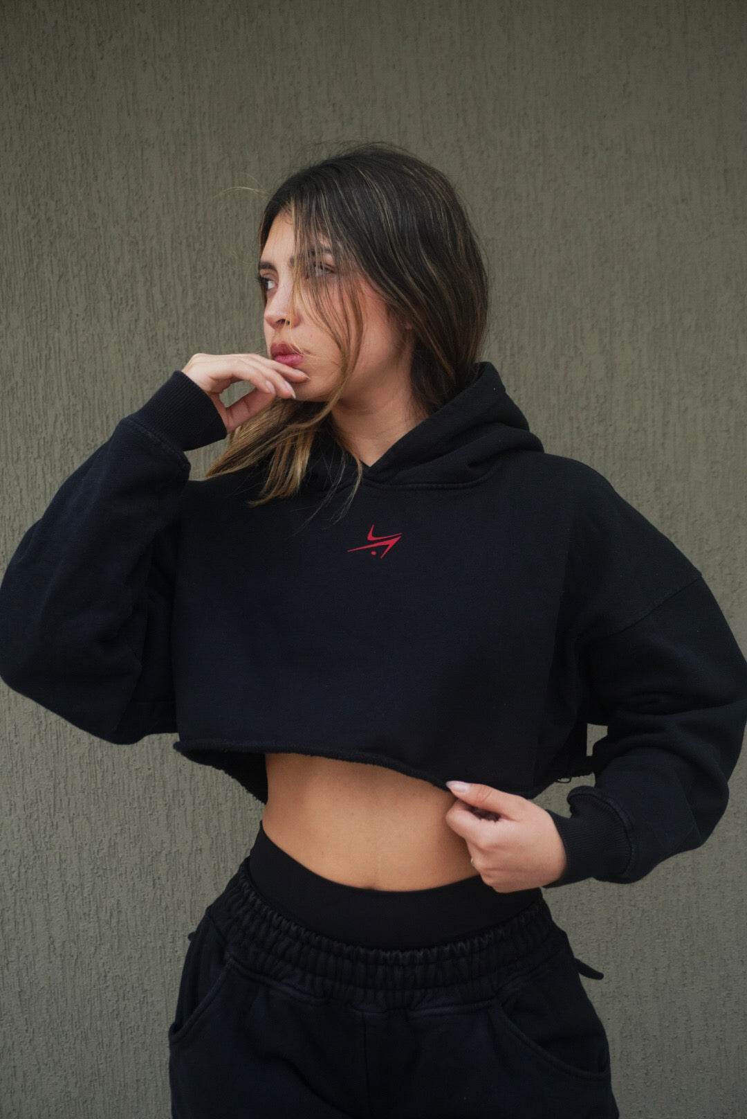 Hoodie Cropped 400 GSM – Edición VNGLC