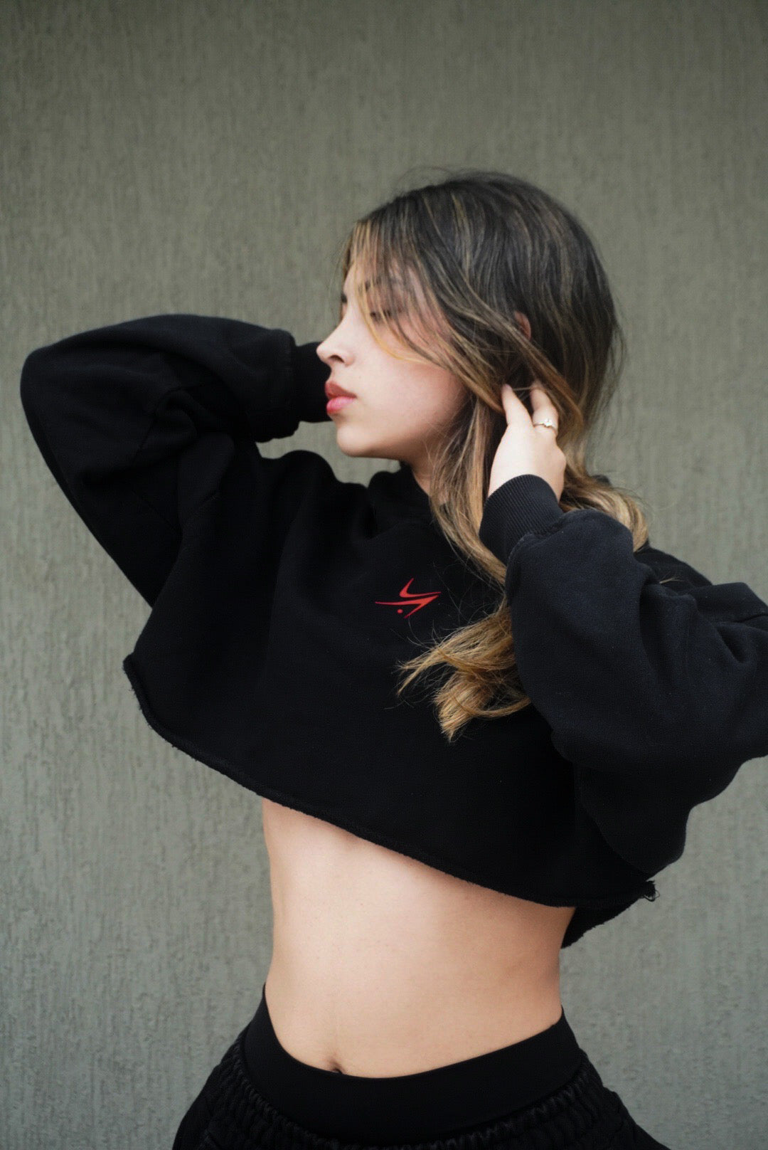 Hoodie Cropped 400 GSM – Edición VNGLC